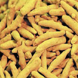 turmeric fingers