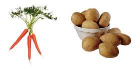 carrot / potato