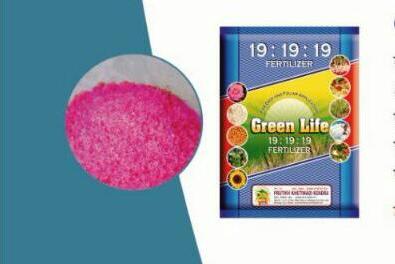 19:19:19 Green Life Nitrophoska Fertilizer, for Agriculture