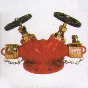 double controlled hydrant valve