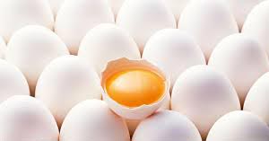 Egg, Color : White