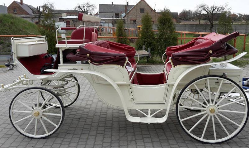 Victoria Horse Carriage