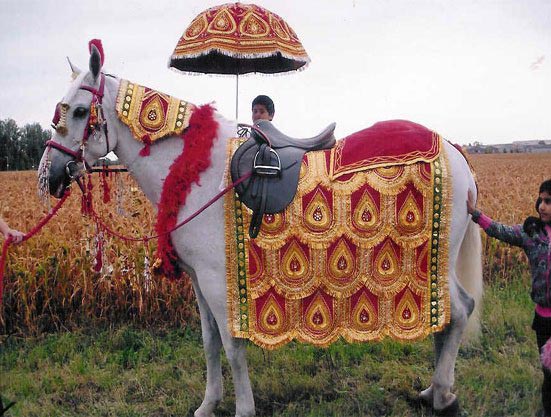 Wedding Horse Costume