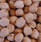 Desi Chickpeas