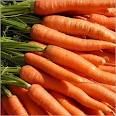 Fresh Carrots
