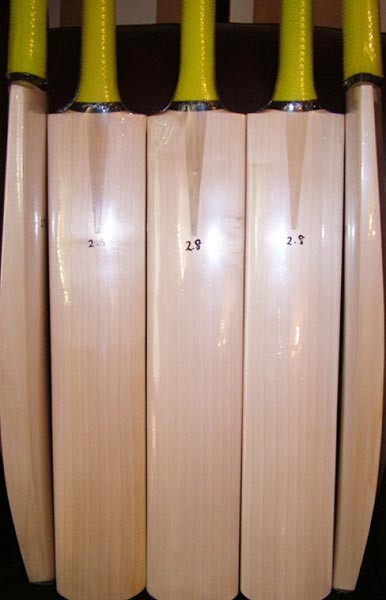 english willow cricket bats