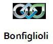 Bonfiglioli Products
