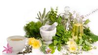 herbal medicinal plant