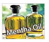 Mentha Oil