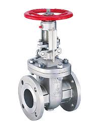 Stainless Steel Gate Valve