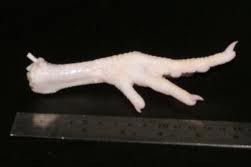 Chicken Paw (Feet)
