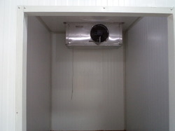 Curd Incubation Rooms