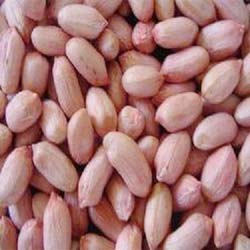 Groundnut Kernels