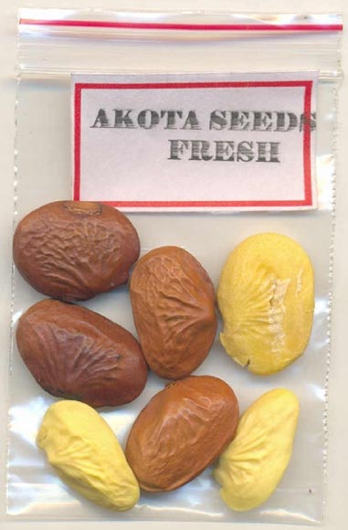 Monoherbal Akota Seeds