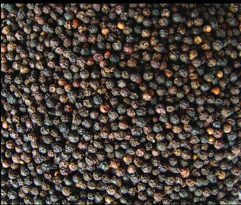 Black Pepper White Pepper Buy Black Pepper White Pepper Sw Cameroon