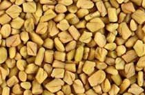 fenugreek seeds