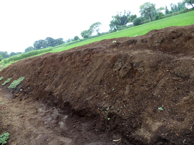 Organic vermicompost