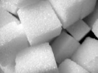 Refined and Crude Sugar