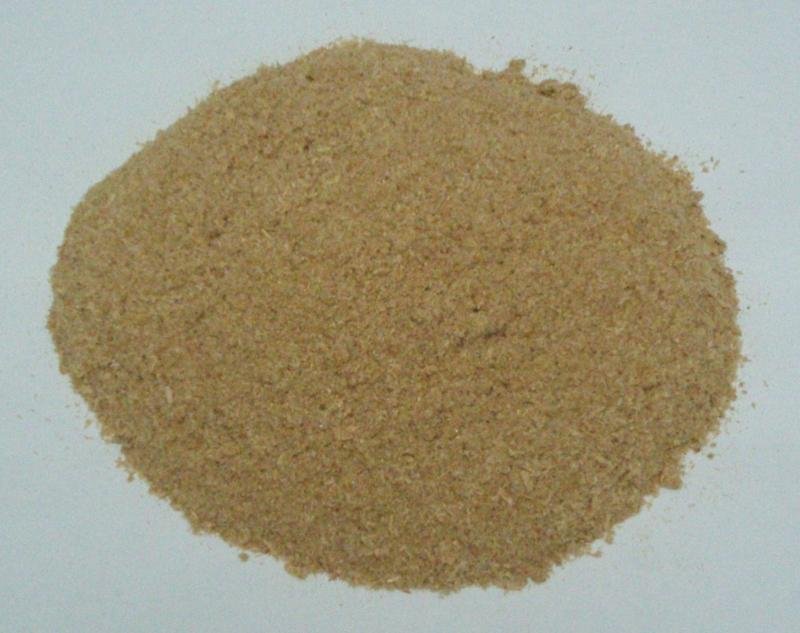Dried Shrimp Powder
