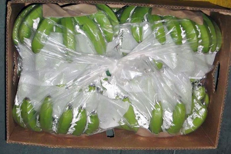 Fresh Cavendish Green Bananas- Cameroon