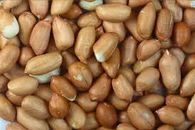 Peanut Kernels