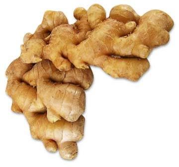 fresh ginger