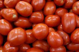 Globenet Tomato, Color : Red