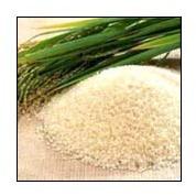 Sharbati Long Grain Parboiled Rice