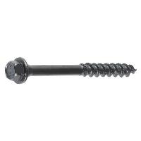 Hex Head Screws