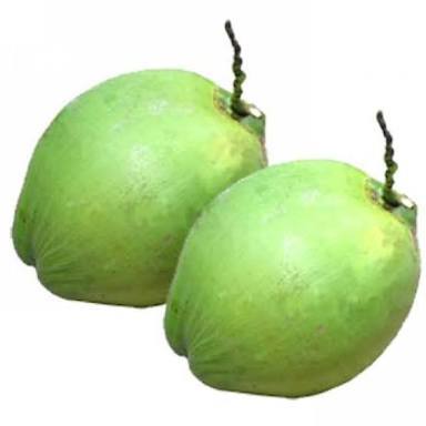 Own Conman green coconut