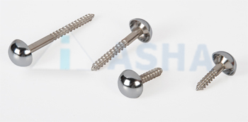 Mirror Screws