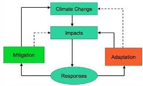 Climate Change Mitigation & Adaptation Consulting Services