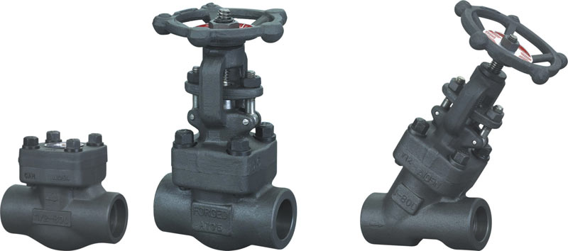 Forged Steel Valves