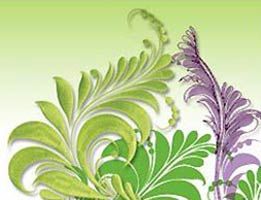 Wilcom Decostudio Embroidery Software