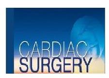 Cardiac Treatments Services