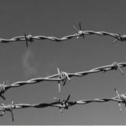 Barbed Wire