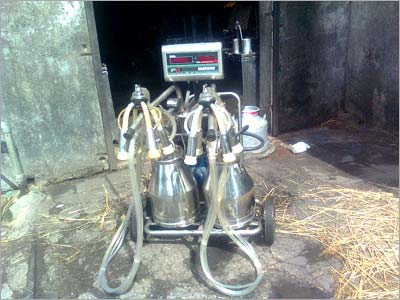 Double Cans Milking Machine