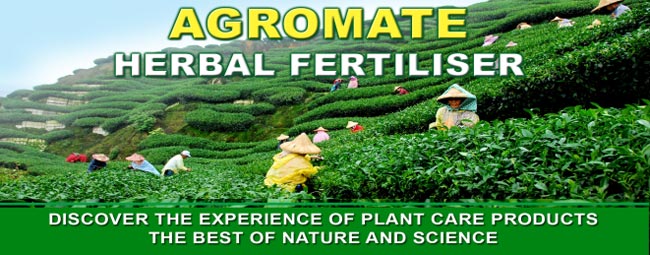 Herbal Fertilizer