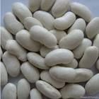 white kidney beans