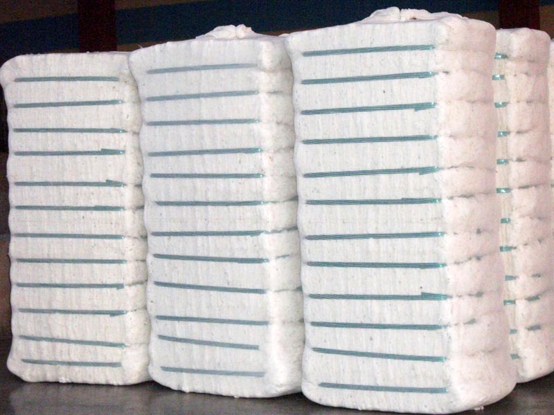 Cotton Bales at Best Price in Khandwa Manish Vegetable Product Pvt Ltd