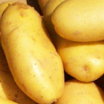 Egyptian Potato