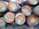 Iroko Logs