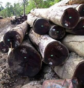 Merbau Wood Logs