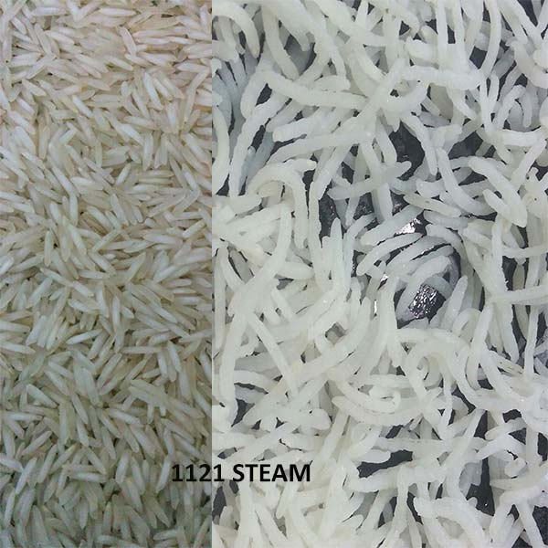 1121 Pusa Basmati Rice Steam