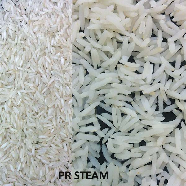 Pr Steamed Rice
