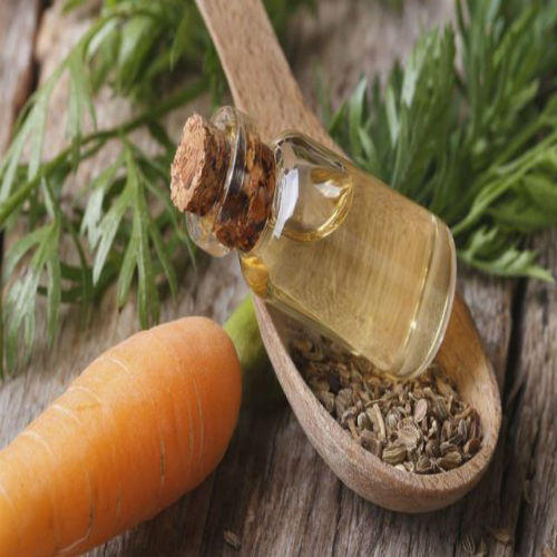 Carrot Seed Oil, Color : Transparent