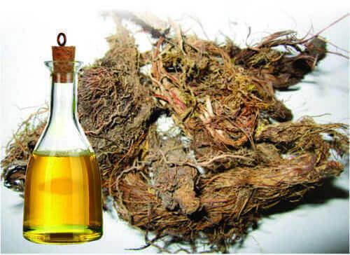 Jatamansi Root Oil