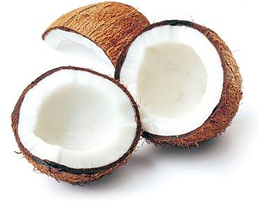 coconut