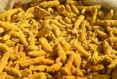 turmeric fingers