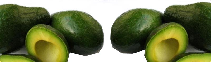 fresh avocado